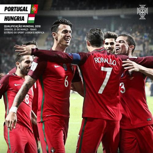 葡萄牙vs匈牙利的相关图片
